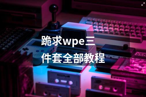 跪求wpe三件套全部教程-第1张-游戏资讯-龙启科技