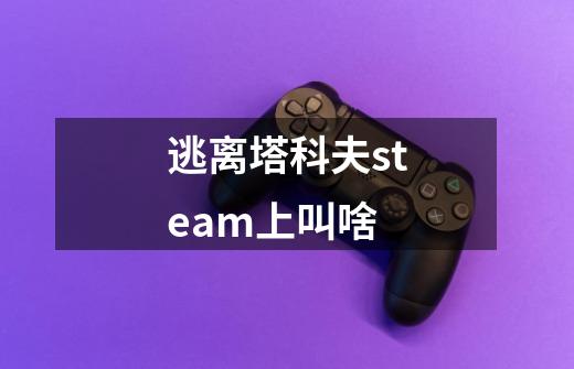 逃离塔科夫steam上叫啥-第1张-游戏资讯-龙启科技