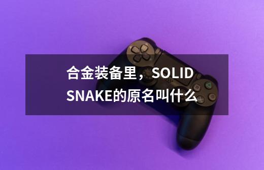 合金装备里，SOLID SNAKE的原名叫什么-第1张-游戏资讯-龙启科技