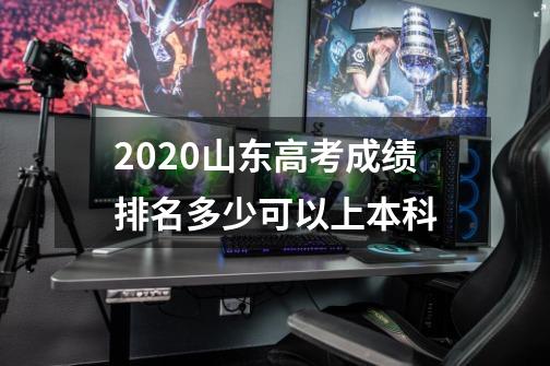 2020山东高考成绩排名多少可以上本科-第1张-游戏资讯-龙启科技