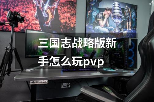 三国志战略版新手怎么玩pvp-第1张-游戏资讯-龙启科技