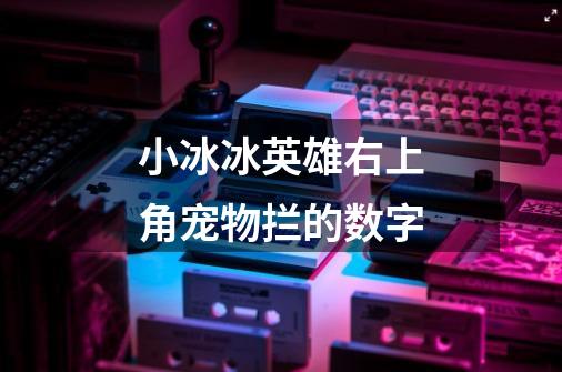 小冰冰英雄右上角宠物拦的数字-第1张-游戏资讯-龙启科技