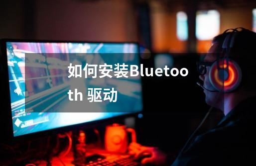 如何安装Bluetooth 驱动-第1张-游戏资讯-龙启科技