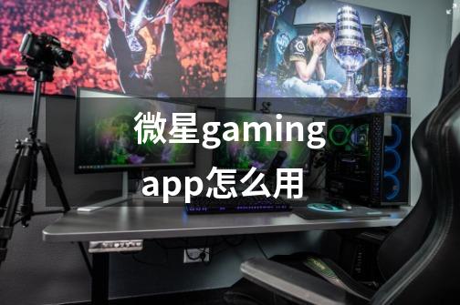 微星gaming app怎么用-第1张-游戏资讯-龙启科技