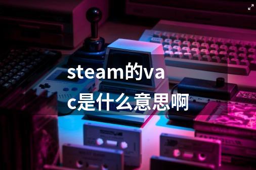 steam的vac是什么意思啊-第1张-游戏资讯-龙启科技