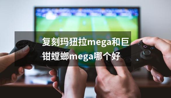 复刻玛狃拉mega和巨钳螳螂mega哪个好-第1张-游戏资讯-龙启科技