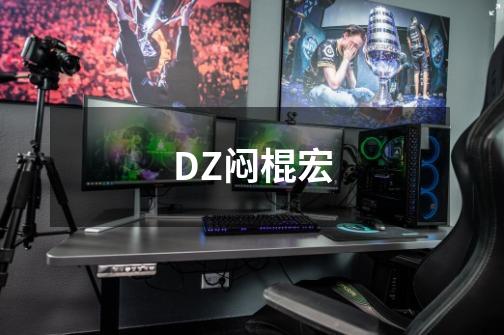 DZ闷棍宏-第1张-游戏资讯-龙启科技