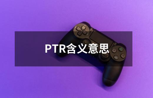 PTR含义意思-第1张-游戏资讯-龙启科技