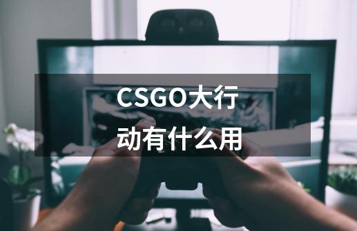 CSGO大行动有什么用-第1张-游戏资讯-龙启科技