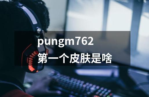 pungm762第一个皮肤是啥-第1张-游戏资讯-龙启科技