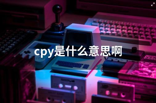 cpy是什么意思啊-第1张-游戏资讯-龙启科技