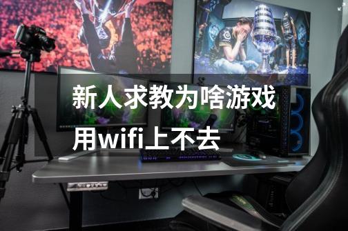 新人求教为啥游戏用wifi上不去-第1张-游戏资讯-龙启科技