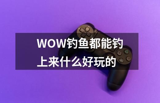 WOW钓鱼都能钓上来什么好玩的-第1张-游戏资讯-龙启科技