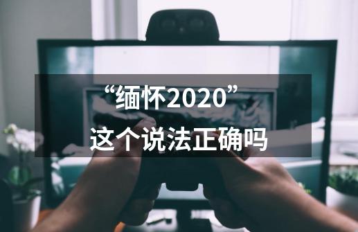 “缅怀2020”这个说法正确吗-第1张-游戏资讯-龙启科技