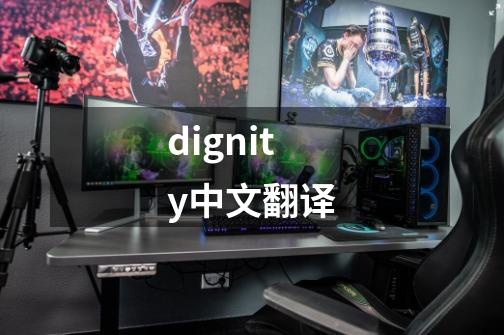 dignity中文翻译-第1张-游戏资讯-龙启科技