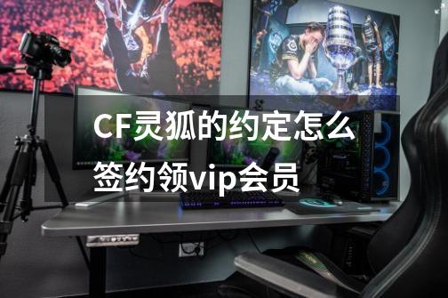 CF灵狐的约定怎么签约领vip会员-第1张-游戏资讯-龙启科技