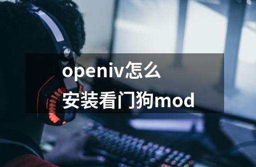 openiv怎么安装看门狗mod-第1张-游戏资讯-龙启科技