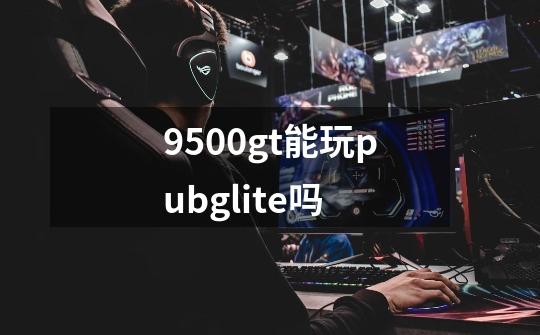 9500gt能玩pubglite吗-第1张-游戏资讯-龙启科技