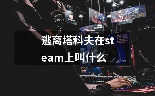 逃离塔科夫在steam上叫什么-第1张-游戏资讯-龙启科技