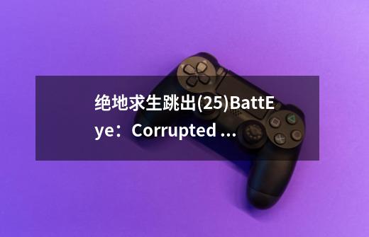 绝地求生跳出(25)BattEye：Corrupted Data-please perform a clean game reinstall-第1张-游戏资讯-龙启科技