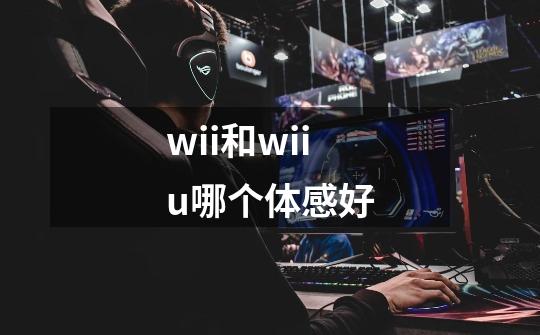 wii和wiiu哪个体感好-第1张-游戏资讯-龙启科技