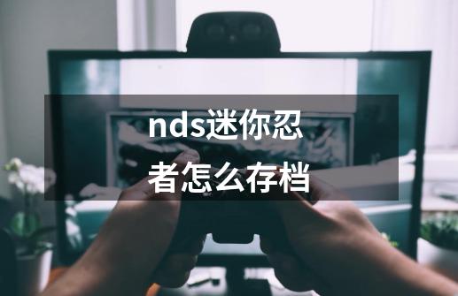 nds迷你忍者怎么存档-第1张-游戏资讯-龙启科技