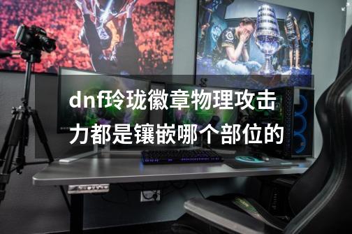 dnf玲珑徽章物理攻击力都是镶嵌哪个部位的-第1张-游戏资讯-龙启科技