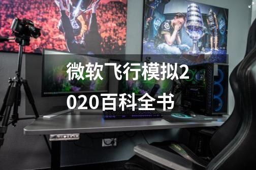 微软飞行模拟2020百科全书-第1张-游戏资讯-龙启科技