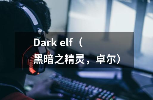 Dark elf（黑暗之精灵，卓尔）-第1张-游戏资讯-龙启科技