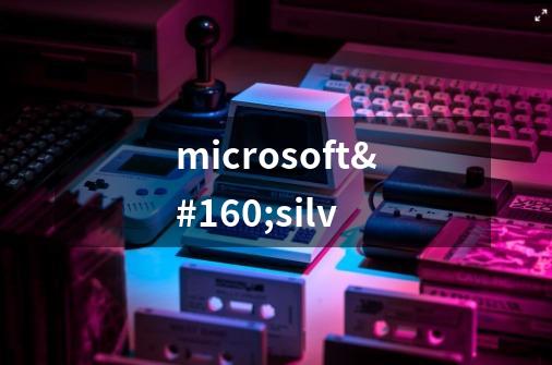 microsoft silv-第1张-游戏资讯-龙启科技