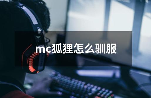 mc狐狸怎么驯服-第1张-游戏资讯-龙启科技