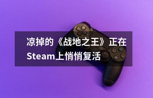 凉掉的《战地之王》正在Steam上悄悄复活-第1张-游戏资讯-龙启科技