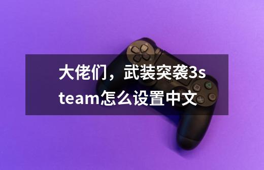 大佬们，武装突袭3steam怎么设置中文-第1张-游戏资讯-龙启科技