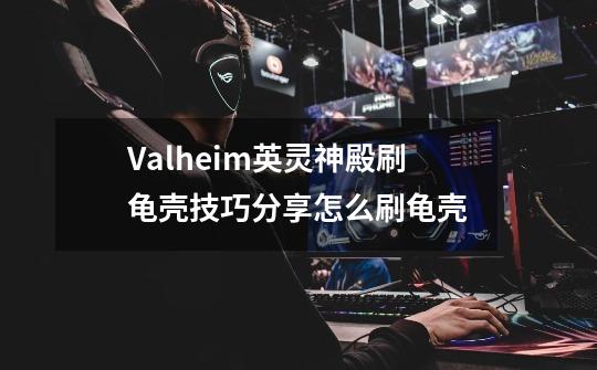 Valheim英灵神殿刷龟壳技巧分享怎么刷龟壳-第1张-游戏资讯-龙启科技