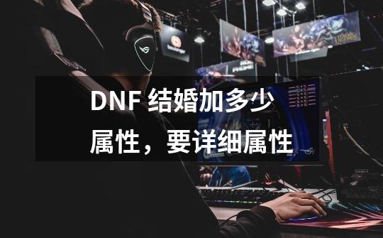 DNF 结婚加多少属性，要详细属性-第1张-游戏资讯-龙启科技