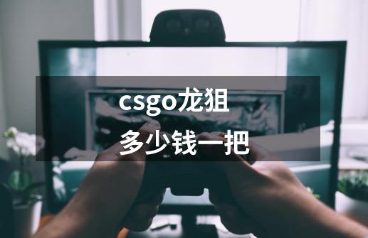 csgo龙狙多少钱一把-第1张-游戏资讯-龙启科技