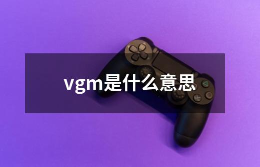 vgm是什么意思-第1张-游戏资讯-龙启科技