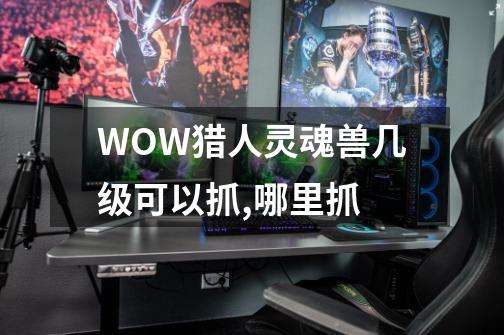 WOW猎人灵魂兽几级可以抓,哪里抓-第1张-游戏资讯-龙启科技