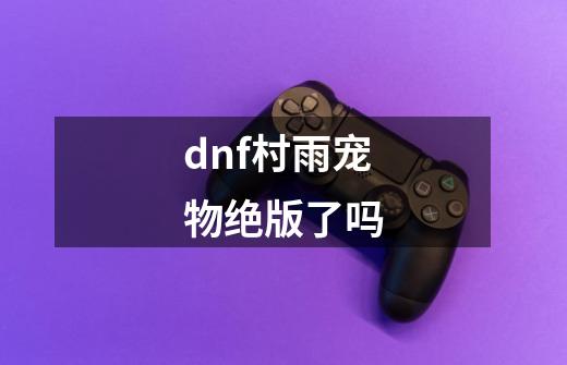 dnf村雨宠物绝版了吗-第1张-游戏资讯-龙启科技