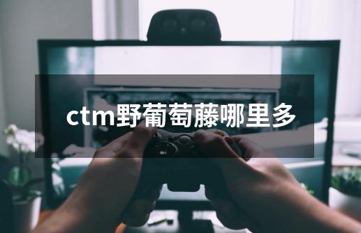 ctm野葡萄藤哪里多-第1张-游戏资讯-龙启科技