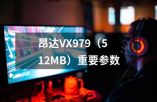 昂达VX979（512MB）重要参数-第1张-游戏资讯-龙启科技