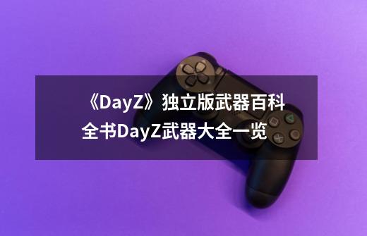 《DayZ》独立版武器百科全书DayZ武器大全一览-第1张-游戏资讯-龙启科技