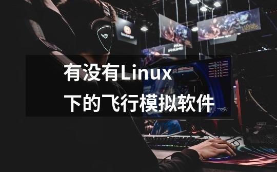 有没有Linux下的飞行模拟软件-第1张-游戏资讯-龙启科技