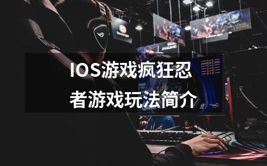 IOS游戏疯狂忍者游戏玩法简介-第1张-游戏资讯-龙启科技