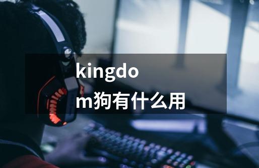 kingdom狗有什么用-第1张-游戏资讯-龙启科技