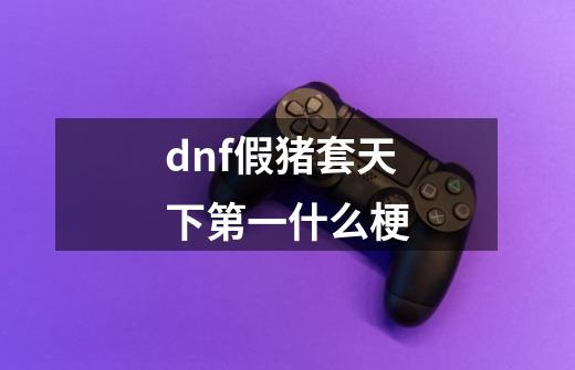 dnf假猪套天下第一什么梗-第1张-游戏资讯-龙启科技