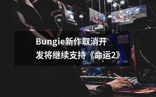 Bungie新作取消开发将继续支持《命运2》-第1张-游戏资讯-龙启科技