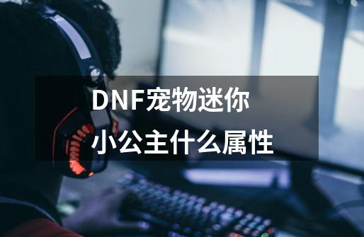 DNF宠物迷你小公主什么属性-第1张-游戏资讯-龙启科技