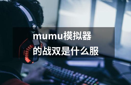 mumu模拟器的战双是什么服-第1张-游戏资讯-龙启科技