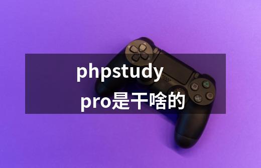 phpstudy pro是干啥的-第1张-游戏资讯-龙启科技